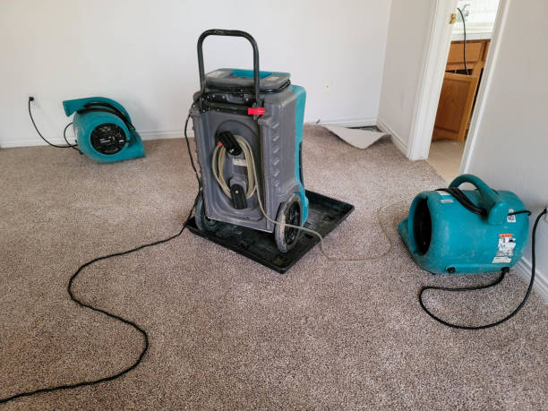 Best Flood damage cleanup  in Moxee, WA