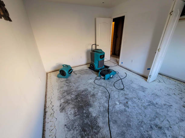Best Water damage restoration near me  in Moxee, WA