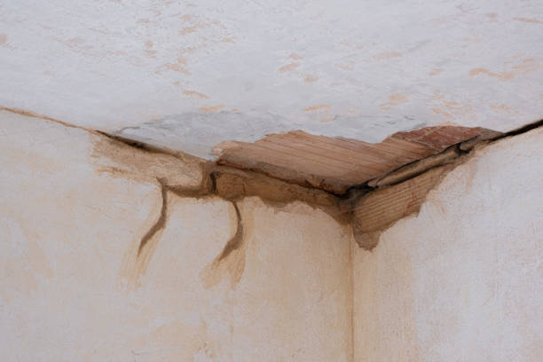 Carpet water damage restoration in Moxee, WA