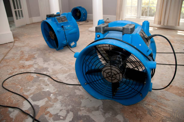 Best Water damage contractors near me  in Moxee, WA