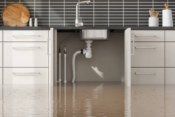 Best Sewage cleanup and water damage restoration  in Moxee, WA
